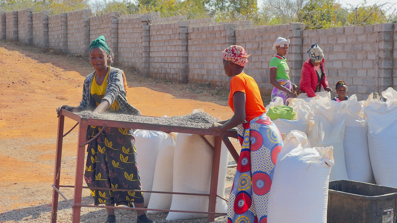 Before the seeds are processed into cooking oil, they need to be cleaned. Often students' families, who are part of the Family Investment Program, clean the seeds.